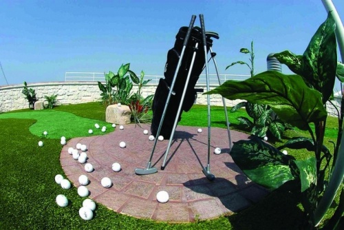 ???? ???? ??? ??????